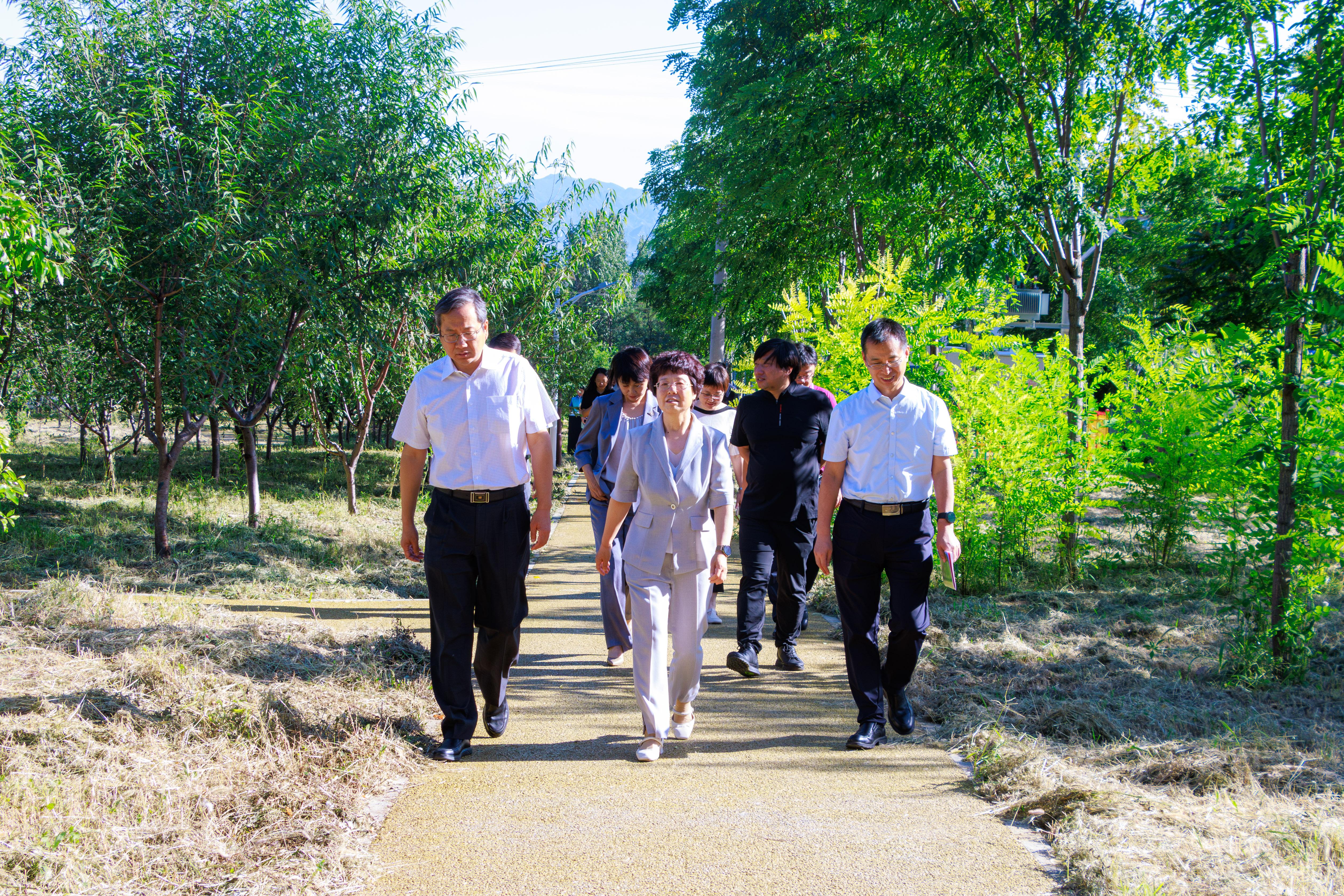 微信圖片_20250911111619_38_2.jpg 微信圖片_20250911111619_38_2.jpg