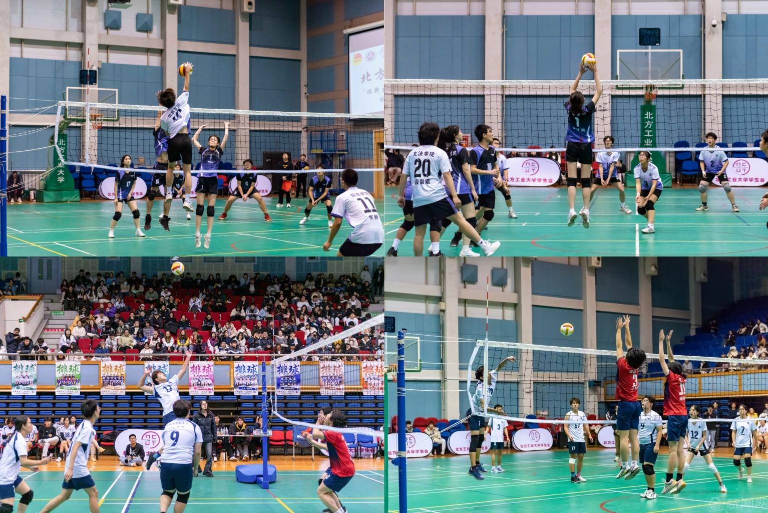 排球聯賽合集.jpg 排球聯賽合集.jpg