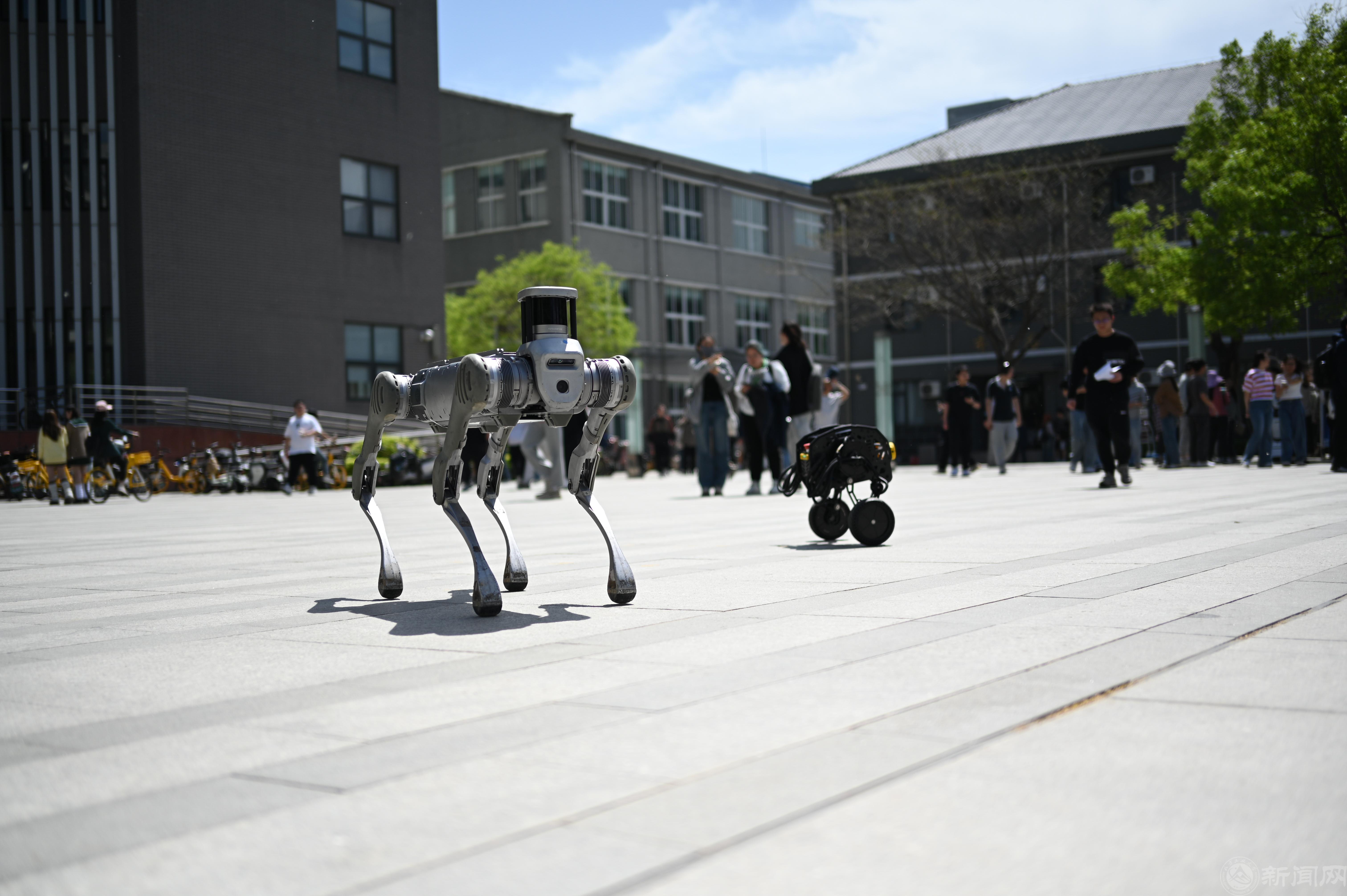 DSC_3182 DSC_3182.jpg